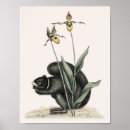 Zoek naar vintage safari posters Wild