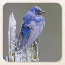 Zoek naar mannelijke onderzetters Blauw