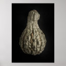 Recherche de foto posters Nature