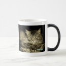 Recherche de gestion tasses De patron