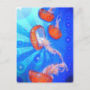 Recherche de méduses cartes postales Océan