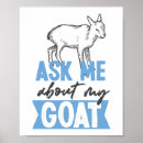 Zoek naar baby geiten posters Grappige geit