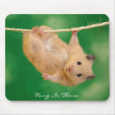 Zoek naar hamsters muismatten Huisdieren