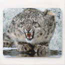 Recherche de mis en danger tapis souris Conservation