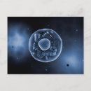 Recherche de cellule animale posters Section transversale