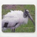 Recherche de plume blanche tapis souris Plumes