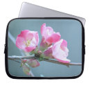 Recherche de pompe photographie Nature