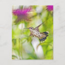 Recherche de baume cartes postales Nature