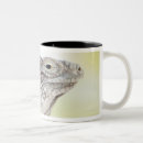 Recherche de iguane tasses Faune
