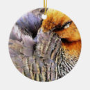 Recherche de ducks ornements Nature