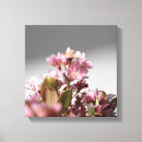 Recherche de enveloppe rose art Toile