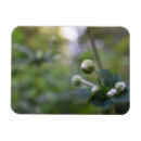 Recherche de flower magnete Vert