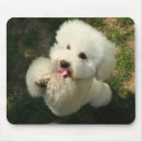 Recherche de animal domestique tapis souris Dog