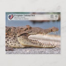 Recherche de parcs nationaux américains cartes postales Usa