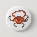 Recherche de crabe badges Côtier