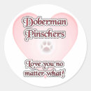 Recherche de dobie autocollants Doberman pinscher