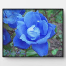 Recherche de manipulation de photo maison deco Rose