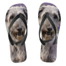 Recherche de wolfhound vêtements Animal