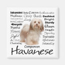 Recherche de personnalité magnets Animal