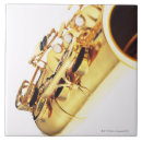 Recherche de laiton carreaux Foyer sélectif