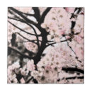 Recherche de fleurs de cerisier carreaux Nature