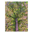 Zoek naar salade posters Kunst