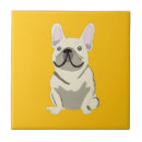 Recherche de bouledogue carreaux Frenchie