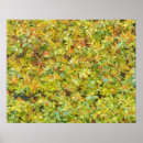 Recherche de feuille abstrait art Nature