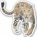 Zoek naar luipaard stickers Kat