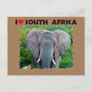 Recherche de taureaux cartes postales Animal