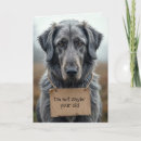 Zoek naar oude hond kaarten Grijs