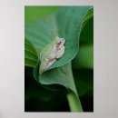 Zoek naar groen blad posters Natuur