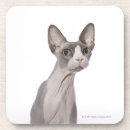 Zoek naar sphynx onderzetters Schattig