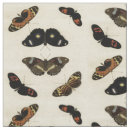 Zoek naar butterfly stoffen Kleurrijk