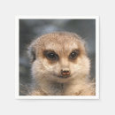 Recherche de portrait serviettes Sauvage