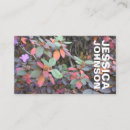 Recherche de arbres colorés cartes visite Nature