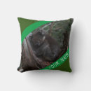 Recherche de koala s coussins Animal