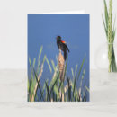 Recherche de rougeoyer vœux cartes Oiseau