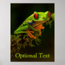 Zoek naar kikkers posters Aquatisch
