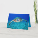 Zoek naar zeeschildpad kaarten Duiken