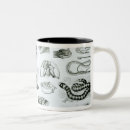 Recherche de reptils tasses Serpent