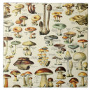 Recherche de champignon carreaux Brun