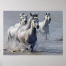 Recherche de le kentucky derby posters Cheval