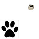 Recherche de de droits des animaux Chat