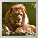 Recherche de citation de lion posters Motivation