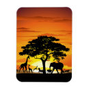 Recherche de savane magnets Nature