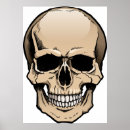 Recherche de crâne humain posters Tête