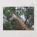 Recherche de girafes mignonnes vœux cartes Girafe mignon