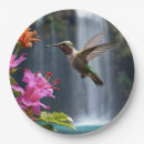 Zoek naar kolibrie borden Vogel
