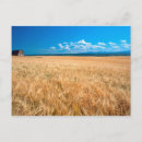 Recherche de exportation cartes postales Agriculture